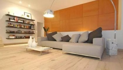 LVT地板的市場(chǎng)現(xiàn)狀和前景預(yù)測(cè)